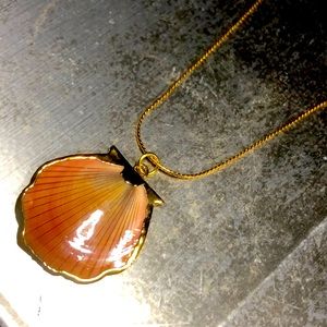 Gold Plated Shell on 22 inch 55.88 cm Gold toned Chain